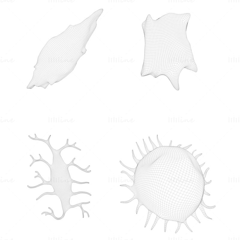 Pack de modèles 3D d'anatomie des cellules ostéo