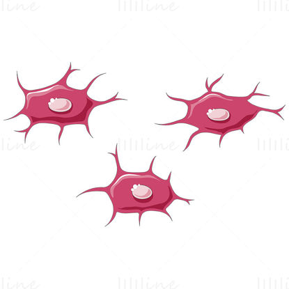 Osteocytes vector scientific illustration