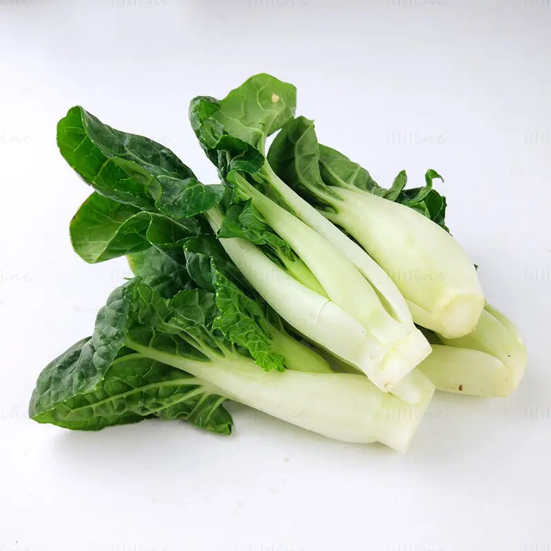 Pak Choi-afbeelding