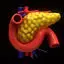 Pancreas medical illustration
