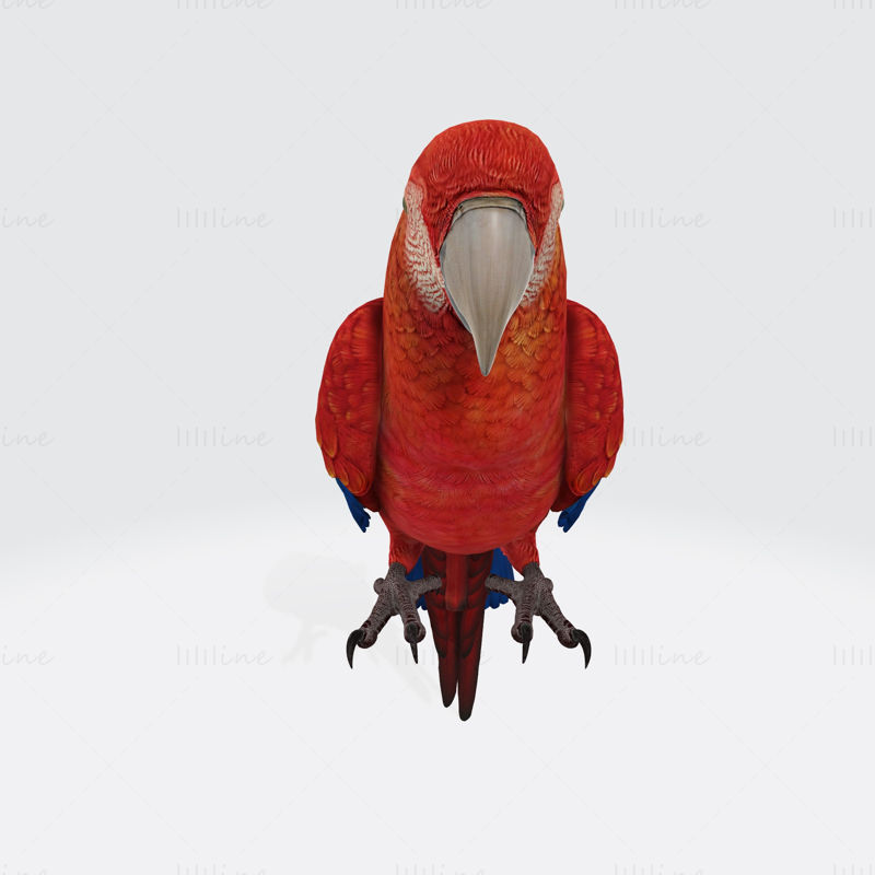 Parrot 3D Printing Model