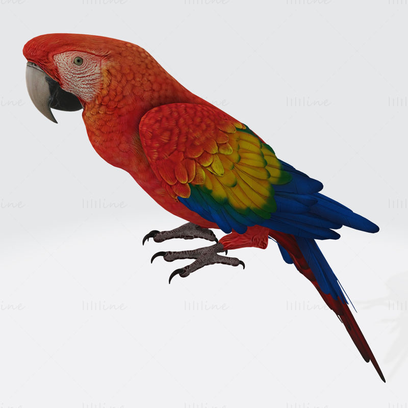 Parrot 3D Printing Model