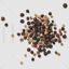 Pepper png