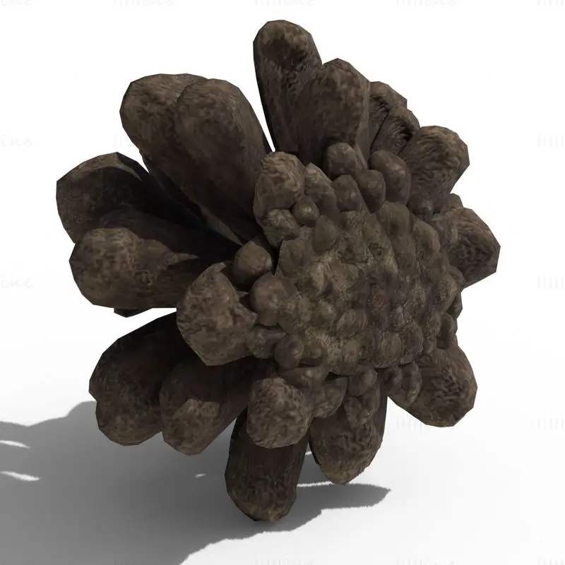 Pine Cone PBR 3D Model