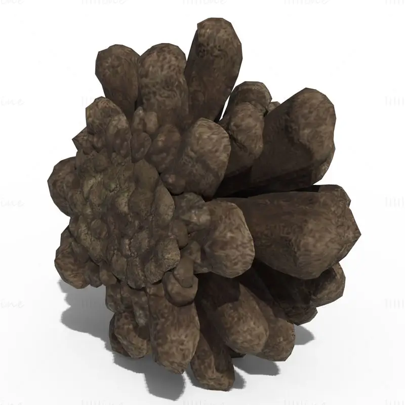 Pine Cone PBR 3D Model