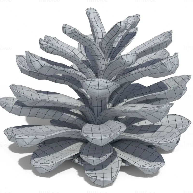Pine Cone PBR 3D Model