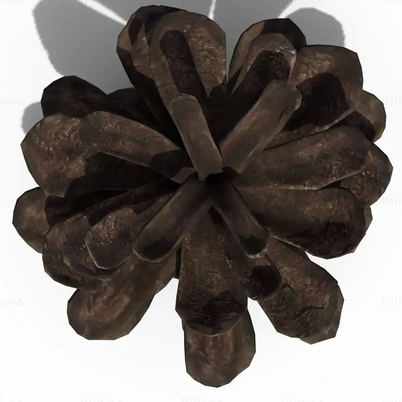 Pine Cone PBR 3D Model