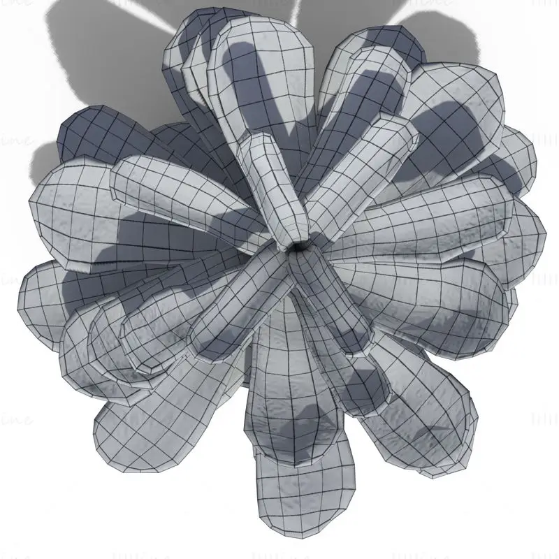 Pine Cone PBR 3D Model