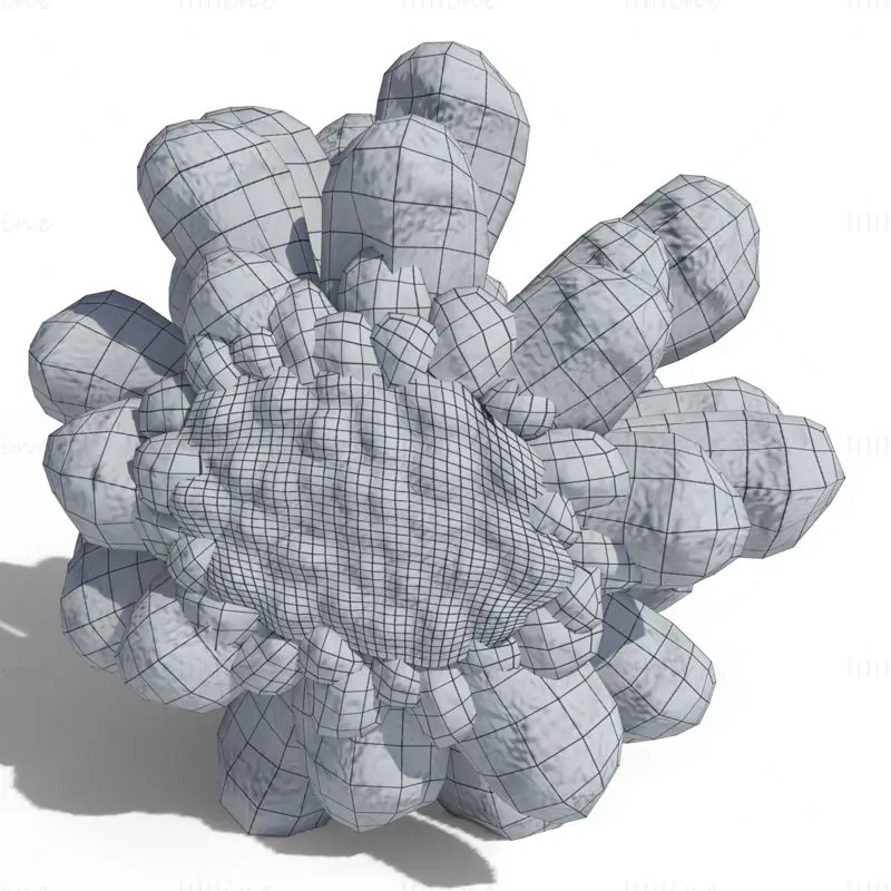 Pine Cone PBR 3D Model