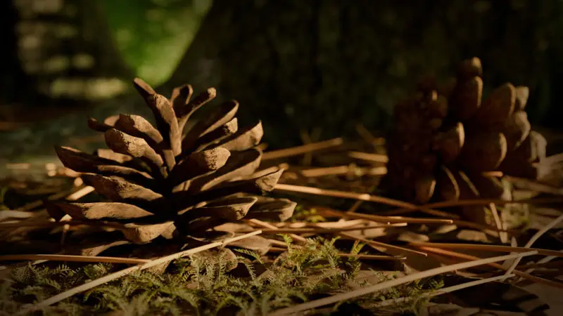 Pine Cone PBR 3D Model