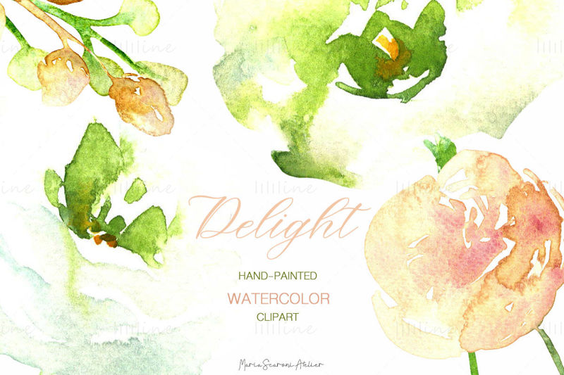 Pink And White Watercolor Flowers Clipart PNG
