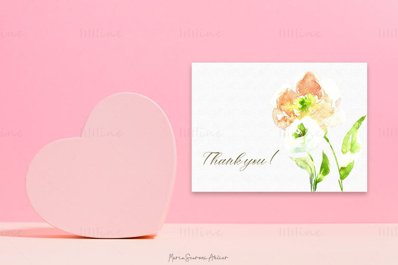 Pink And White Watercolor Flowers Clipart PNG