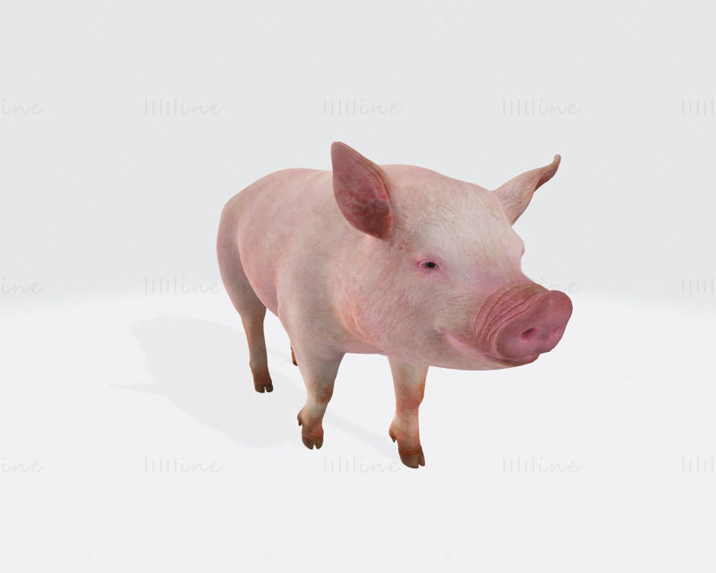 粉红猪 3D 打印模型准备打印