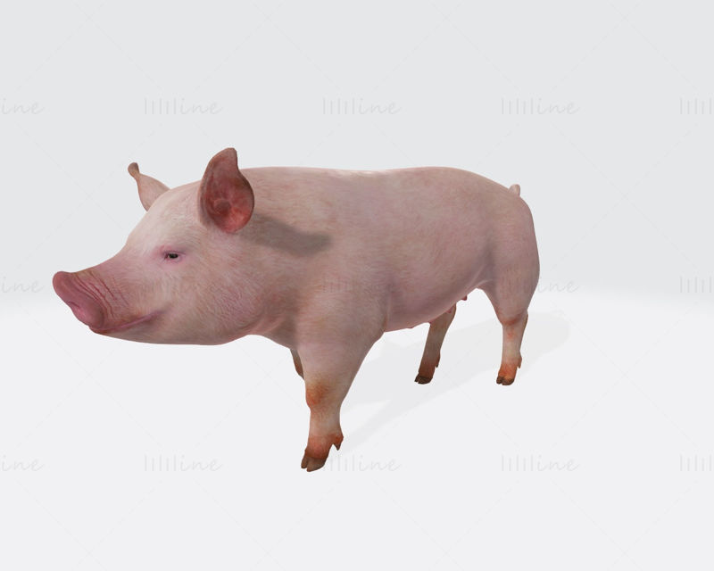 Rosa Schwein 3D-Druckmodell bereit zum Drucken