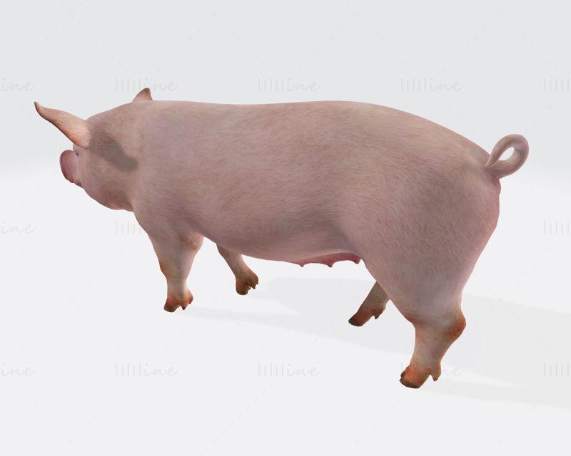 Pink Pig 3D Printing Model Ready to Print