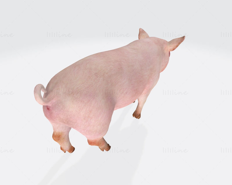粉红猪 3D 打印模型准备打印