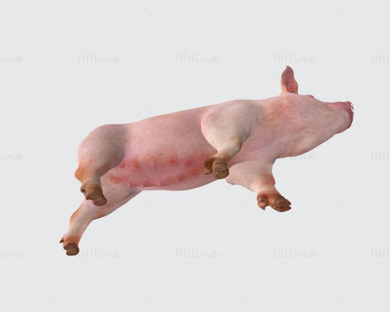 Pink Pig 3D-utskriftsmodell Klar til utskrift