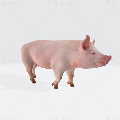 Modelo de impresión 3D del Cerdo Rosa listo para imprimir