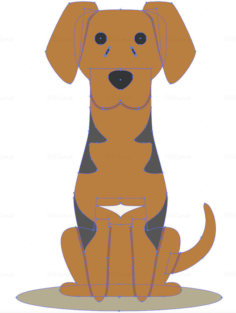 Polish hound dog vector