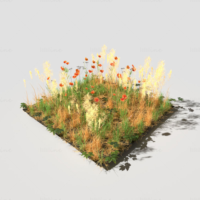 罂粟草甸草地 3D 模型