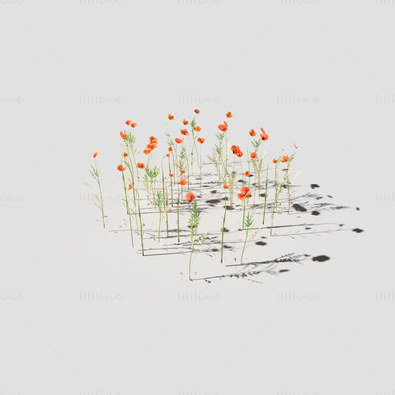 Poppy Meadow Patch 3D Model