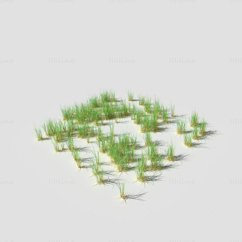 罂粟草甸草地 3D 模型
