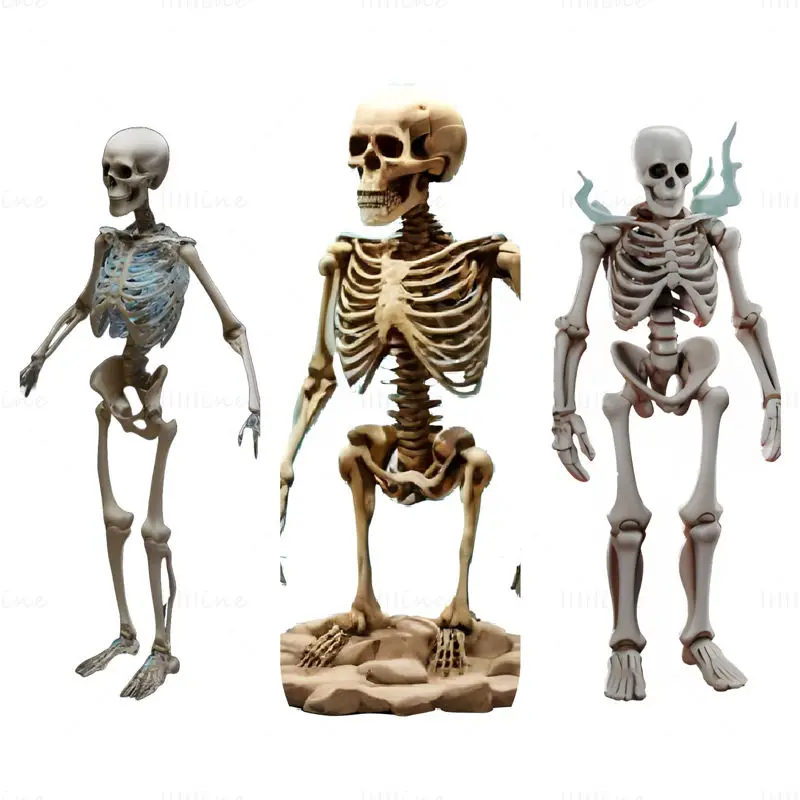 Poseable Skeleton Figurine 3D Print Model