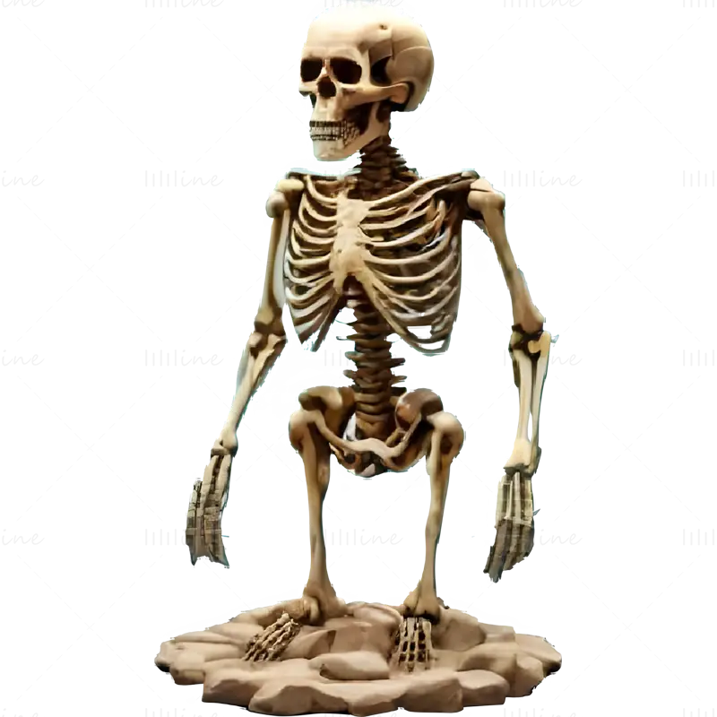 Poseable Skeleton Figurine 3D Print Model