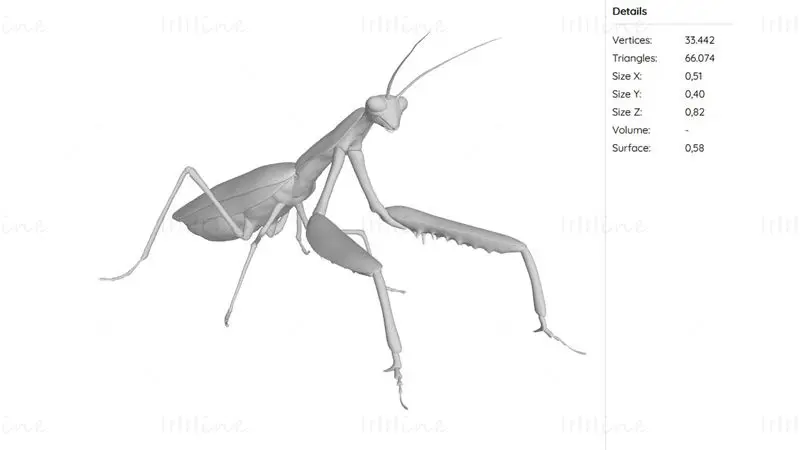 Imádkozó sáska állat 3D nyomtatási modell