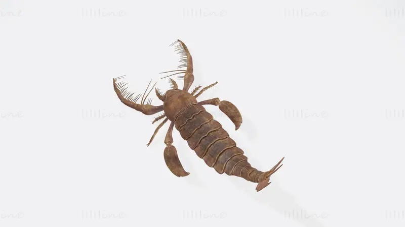 Őskori tengeri skorpió figura 3D nyomtatáshoz