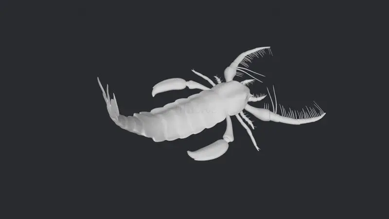 Őskori tengeri skorpió figura 3D nyomtatáshoz