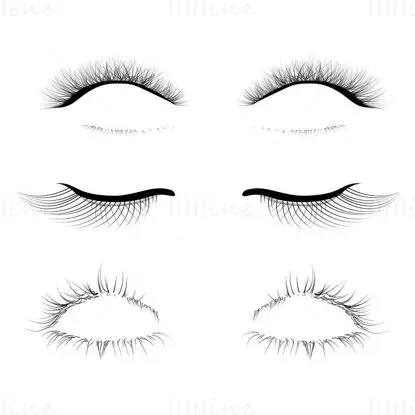 Slender and disordered false eyelashes PSD