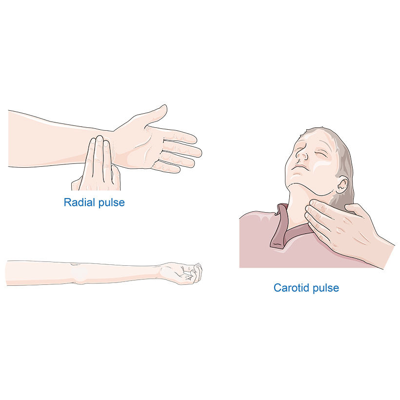 pulse-taking-vector