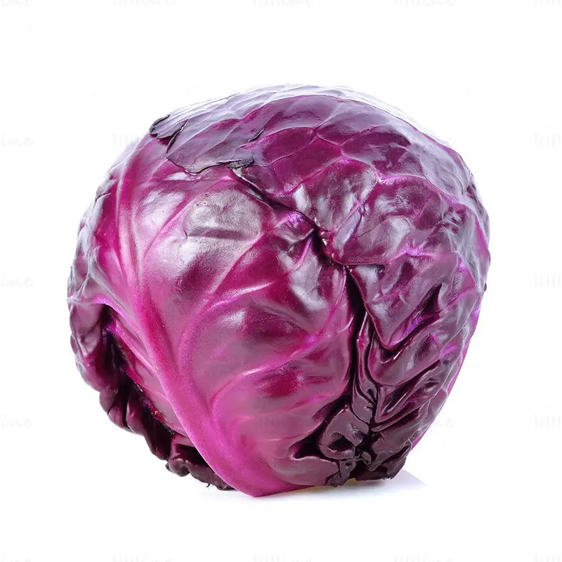 Purple Cabbage image