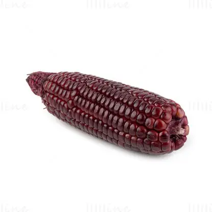 Purple corn image