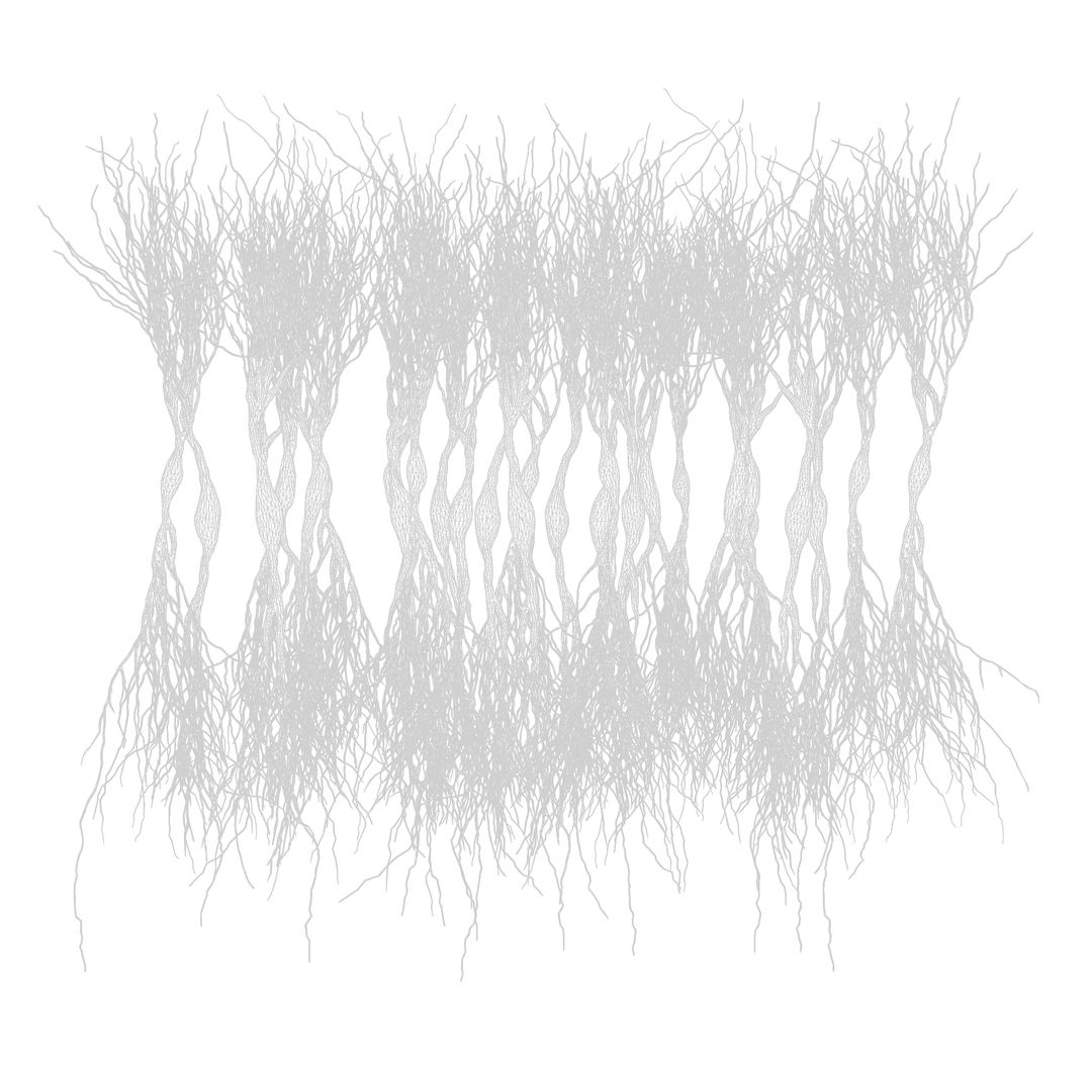 Pyramidal neurons 3d model