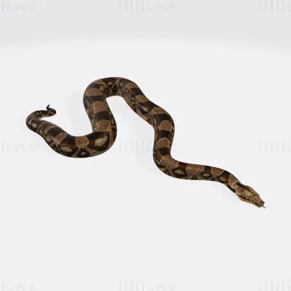 Model de imprimare 3D Python Snake