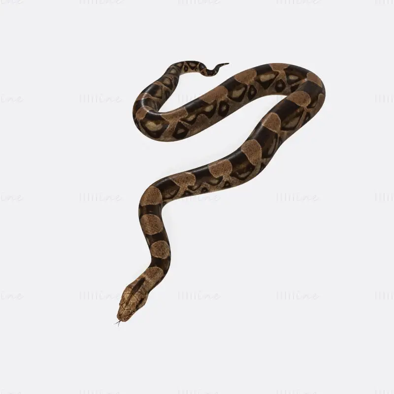 Python Snake 3D-utskriftsmodell