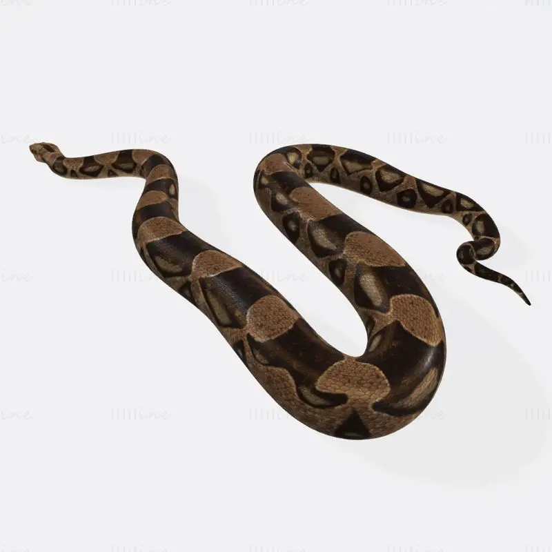 Modelo de impresión 3D de serpiente pitón