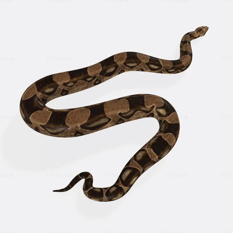 Python Snake 3D nyomtatási modell