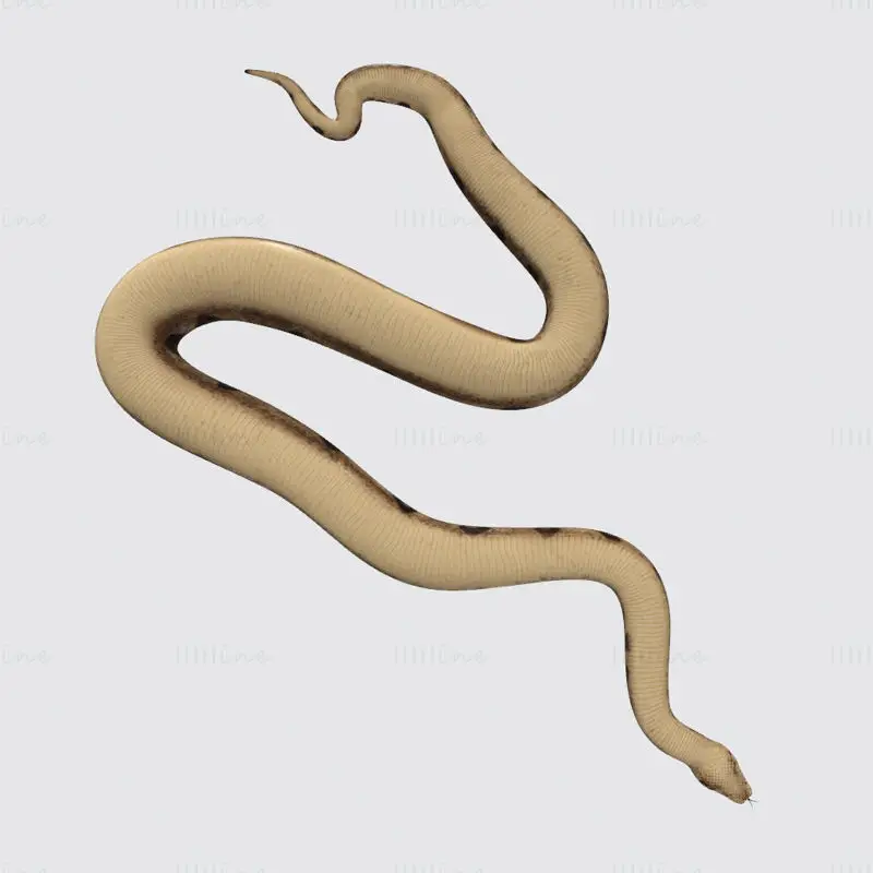 3D tiskový model hada Python