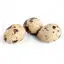 Quail eggs image