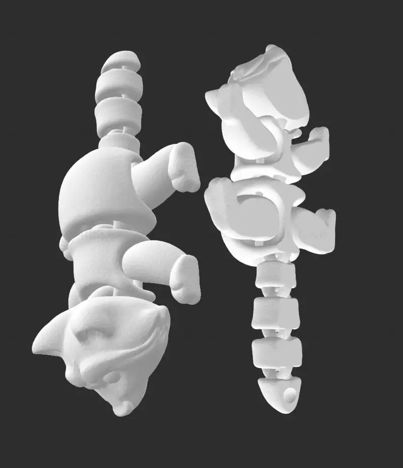 Waschbär FLEXI artikuliertes 3D-Druckmodell STL-Datei