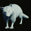 Racoon 3d printing model STL