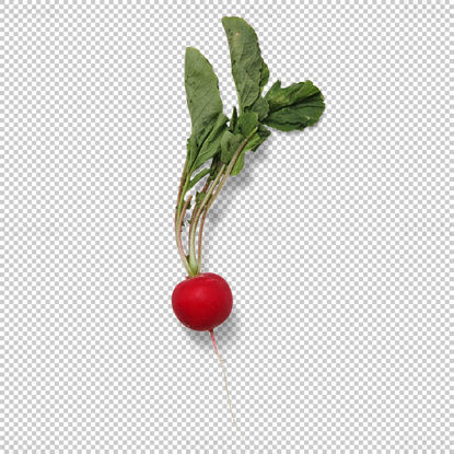 Radish with green leaves png