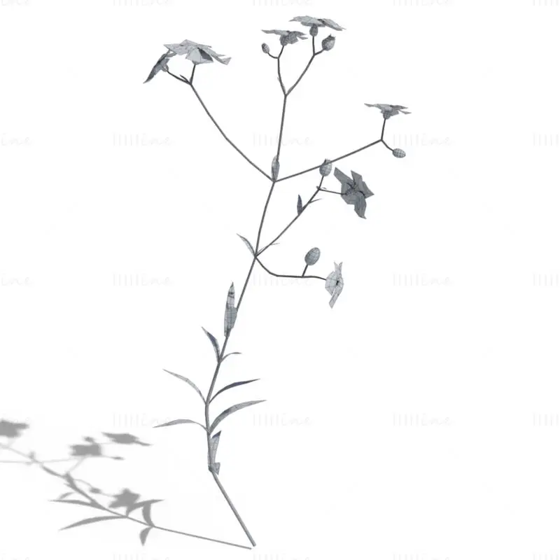 Pacchetto modello 3D di fiori di Robin cencioso