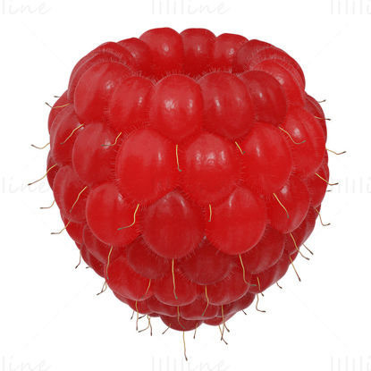 Raspberry png