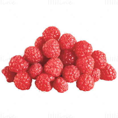 Raspberry transparent background png