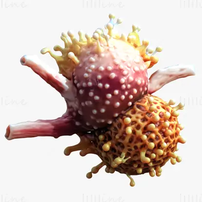 Modello 3D realistico di tumore a cellule cancerose