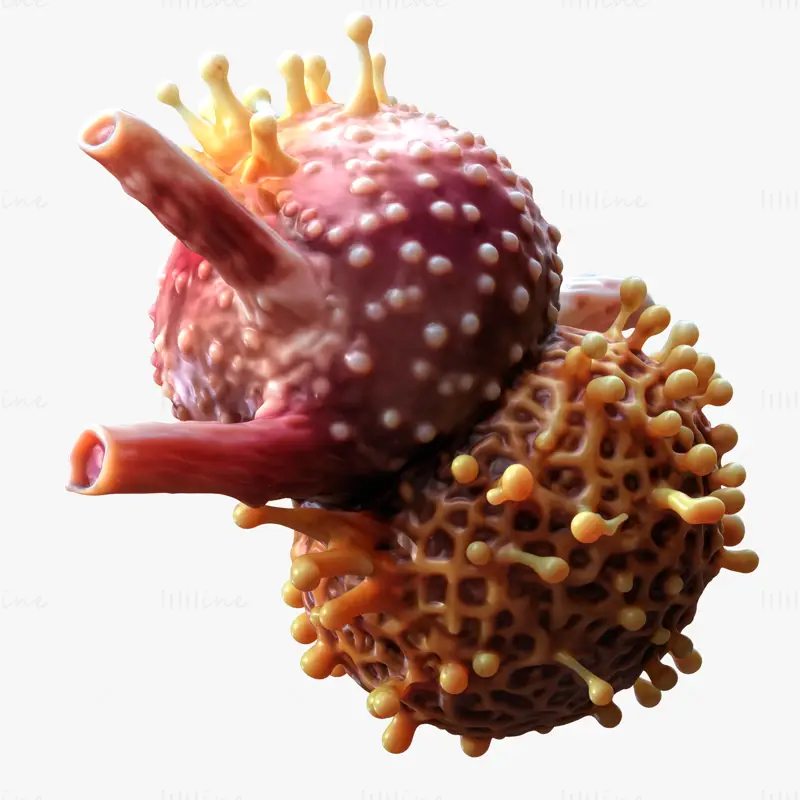 Modello 3D realistico di tumore a cellule cancerose